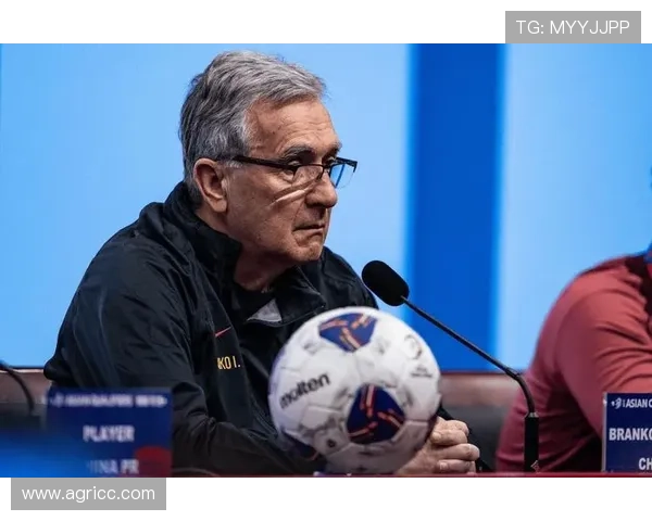 国家队备战世界杯预选赛新星崛起引发足坛热议战术调整与主帅用人