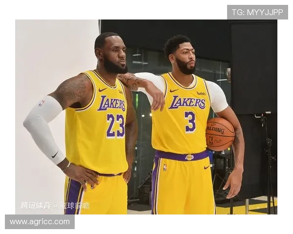 湖人新赛季阵容强势调整 詹姆斯与戴维斯联手冲击总冠军