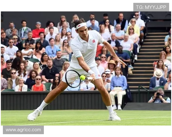 费德勒回归传闻再起 网坛巨星或将携新教练备战明年温网